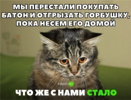 Кстати, да!
Просто хлеб из дерьма стали делать.