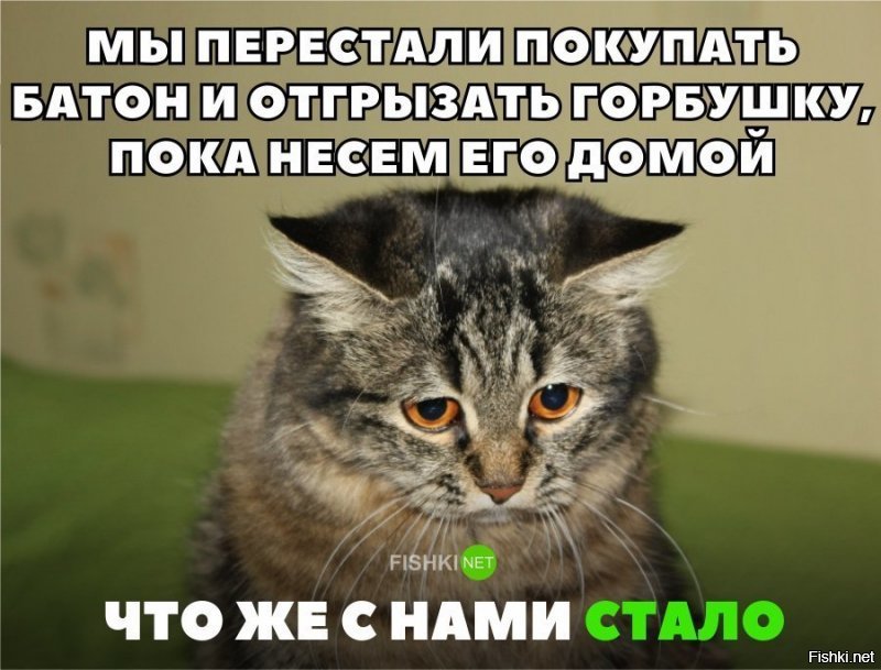 Кстати, да!
Просто хлеб из дерьма стали делать.