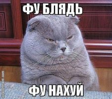 В одном из ресторанов Северной Каролины можно отведать бургер с тарантулом