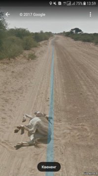 Кадры на Яндекс и Google-картах, которых не должно было быть