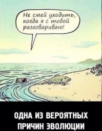 Как лучше спать супругам – вместе или раздельно?