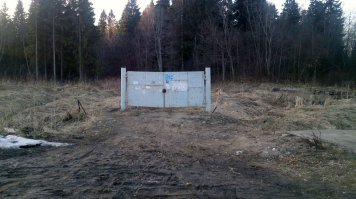 Отец вчера сфотографировал: