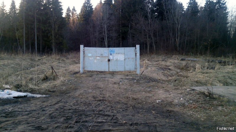 Отец вчера сфотографировал: