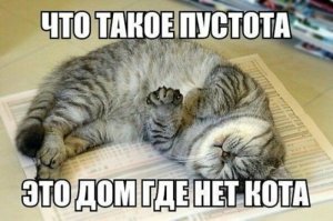 Поверьте, это - чистая правда, а не прикол.
Любой потерявший своего ушастого, подтвердит.