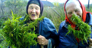 бабка берёт шишку и взлетает, пока не отпустит