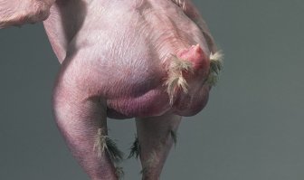 Другой ракурс.