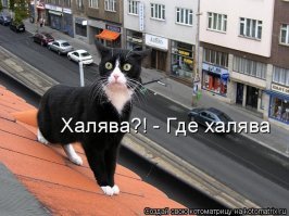 Народ просто любит халяву, не зависимо от положения.