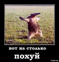 12 самых богатых невест и женихов мира