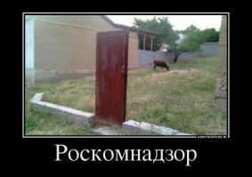 Грустная война Роскомнадзора: хаотичные блокировки, цифровое сопротивление и реакция соцсетей