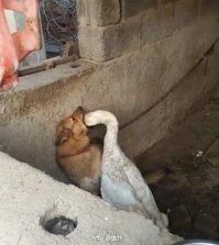 Фотоподборка за 18.04.2018