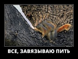 Осторожно белки! Так они ведь прелесть