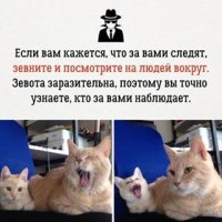 10 необычных фобий