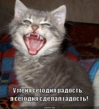 Подборка прикольных фото