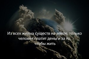 Причина одна: