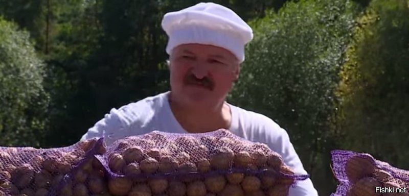 Голландский дизайнер заново изобрела погреб