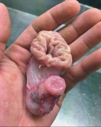 Это, вообще, руками трогать можно? Что то я сомневаюсь