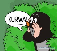 Мотоциклист не уступил дорогу в Польше