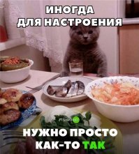 "Официант, у меня в еде котик!" - девушка добавляет котов в еду с помощью фотошопа