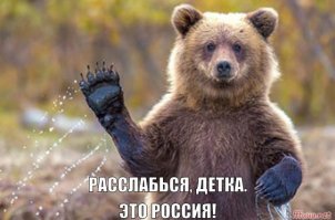 На Камчатке медведь парализовал движение на трассе