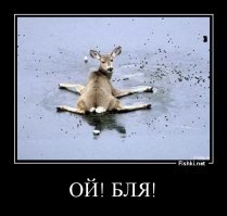 Тот момент когда летают те, кто летать не может