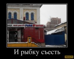 На этот раз в трусах и в каске: пост про когнитивный диссонанс