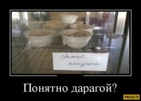 На этот раз в трусах и в каске: пост про когнитивный диссонанс