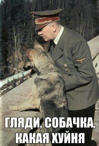 Никогда! Вы слышите, никогда не показывайте этот пост Михаилам!