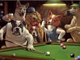 Фотоподборка за 19.04.2018