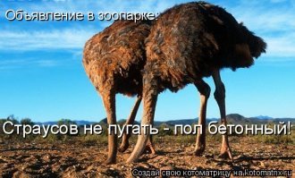 Смешные картинки карандашом