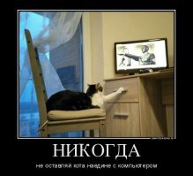 Смешные комментарии из серии «клиент всегда прав», юмор на любителя
