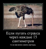 Смешные картинки карандашом