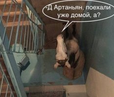 Порция уютного ада: неожиданные находки в подъездах