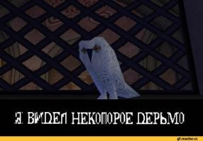 15 фантастических идей использования обычной терки