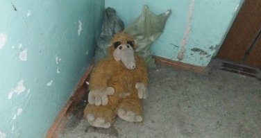 все же он съел кота и его за это выгнали