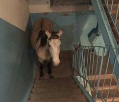 - Ну че смотришь, ну не в пальто!!!!