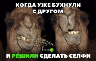 за 10-ть минут до этого