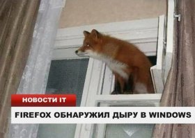 Рыбак помог застрявшей на льдине лисе добраться до берега