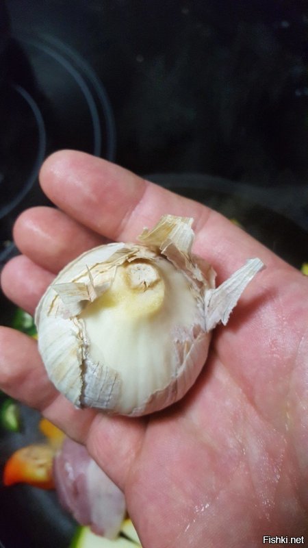 Если посеять семена чеснока, то в первый год вырастет вот такая луковица с одной долькой...