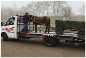 У нас таких эвакуаторов нет