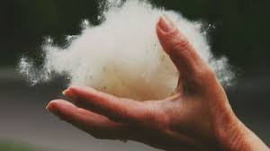 Бпилять 
Ка-а-а-а-к 
мы, 
дети СССР выжили?