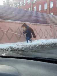 Невеселые и странные картинки  из повседневной жизни
