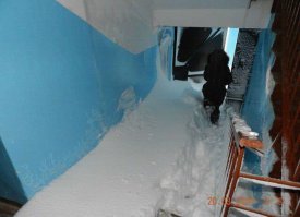 Порция уютного ада: неожиданные находки в подъездах
