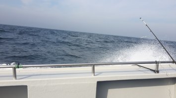 Выкладывай своих мальков