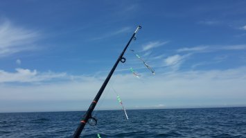 А вот мои мальки