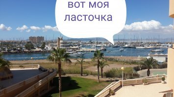 Насмешил