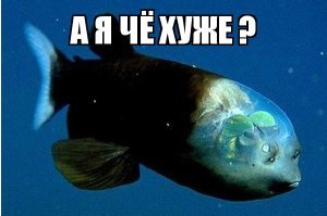 Чудо природы: стеклянная лягушка