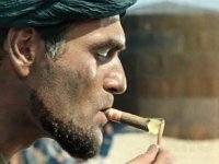 Калифорнийский городок атаковало перекати-поле, и это не шутка