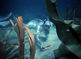 аффтар  РЕН ТВ пересмотрел....    "племя баджо в процессе эволюции"  - и как долго та эволюция длилась?