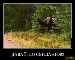 Совсем заврался или тебе пиндосы насвистели, что перекати поле в разъяренном виде напало на их беззащитные дома.