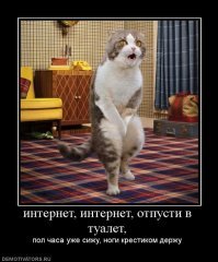 современный вариант